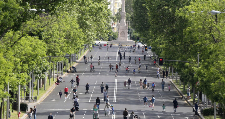 The Pandemic Has Taken Vehicles Off City Streets. Will It Final?