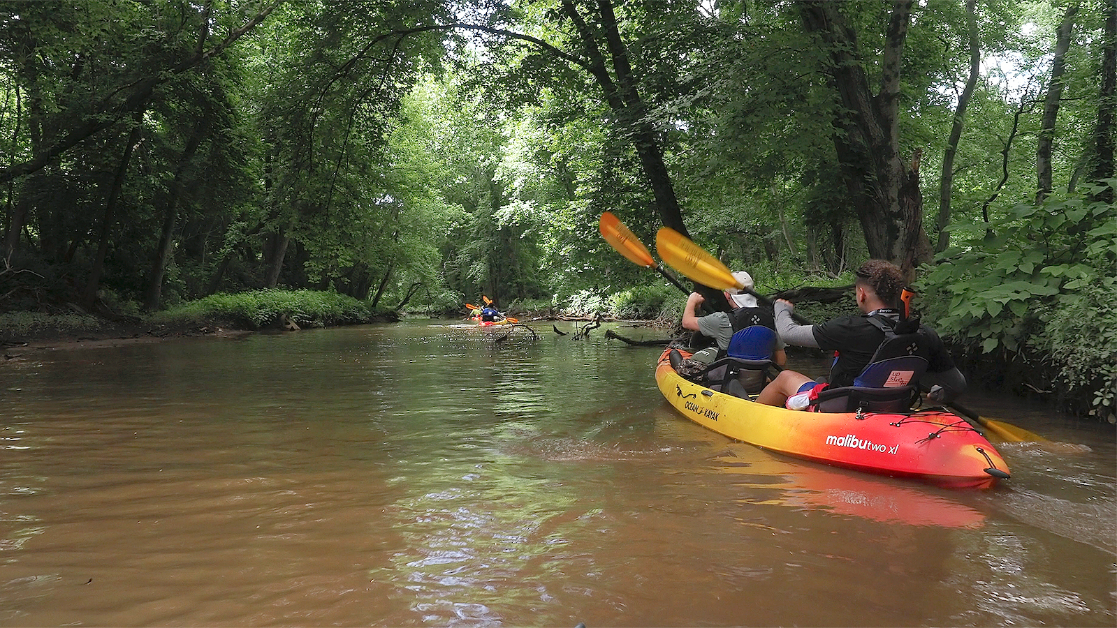 City Waters: Discovering the Hidden Great thing about a Jersey River