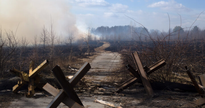 Collateral Harm: The Environmental Price of the Ukraine Struggle