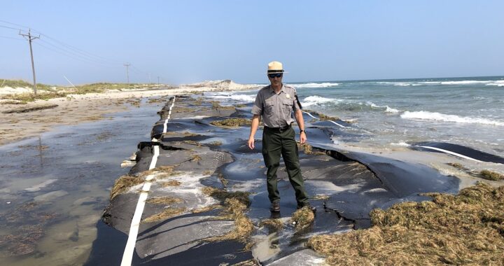 Because the Sea Rises, Will a Prized Nationwide Seashore Wash Away?