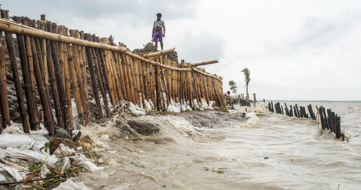 As World’s Deltas Sink, Rising Seas Are Removed from Solely Perpetrator