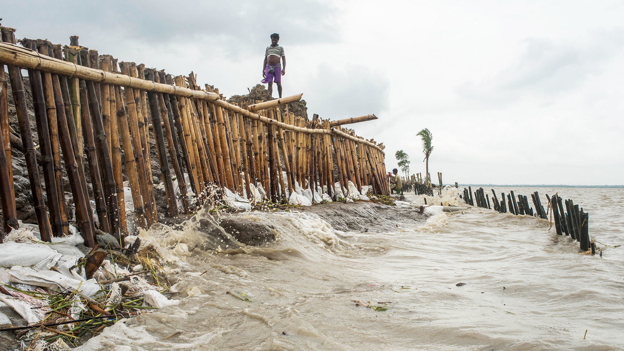 As World’s Deltas Sink, Rising Seas Are Removed from Solely Perpetrator