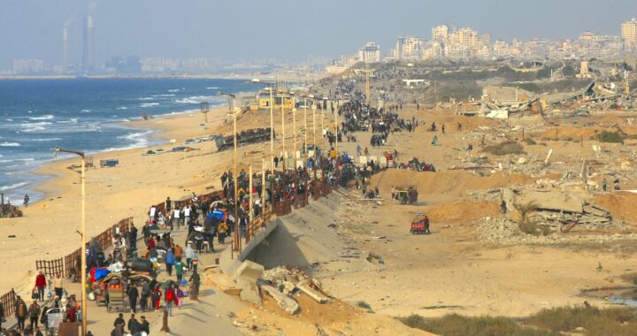 As Conflict Halts, the Environmental Devastation in Gaza Runs Deep