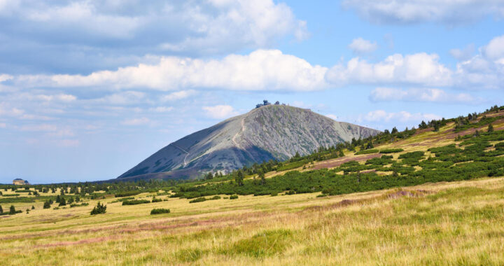 A Golden Spike Would Mark the Earth’s Subsequent Epoch: However The place?