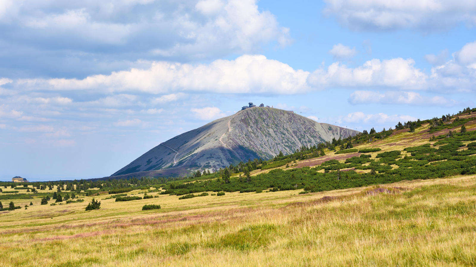 A Golden Spike Would Mark the Earth’s Subsequent Epoch: However The place?