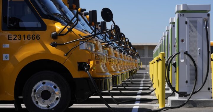 Slowly however Certainly, U.S. College Buses Are Beginning to Electrify