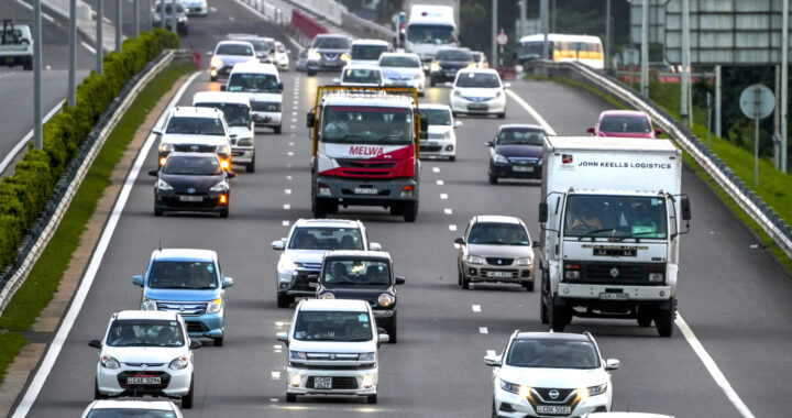 Highway Hazard: Proof Mounts on Poisonous Air pollution from Tires