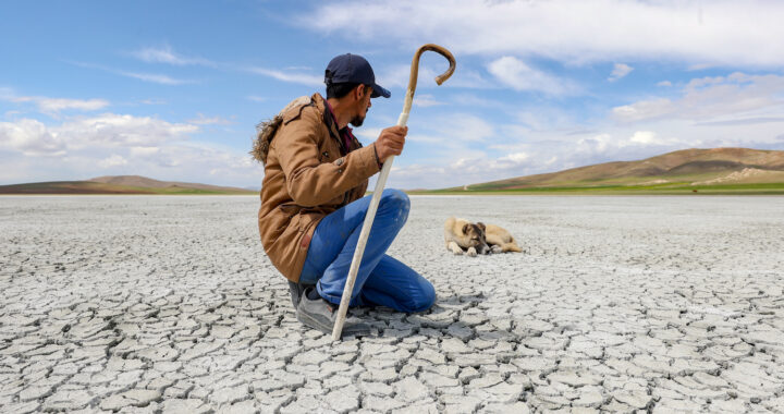 Because the Local weather Bakes, Turkey Faces a Future With out Water