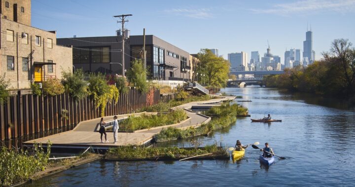 How Floating Wetlands Are Serving to to Clear Up City Waters